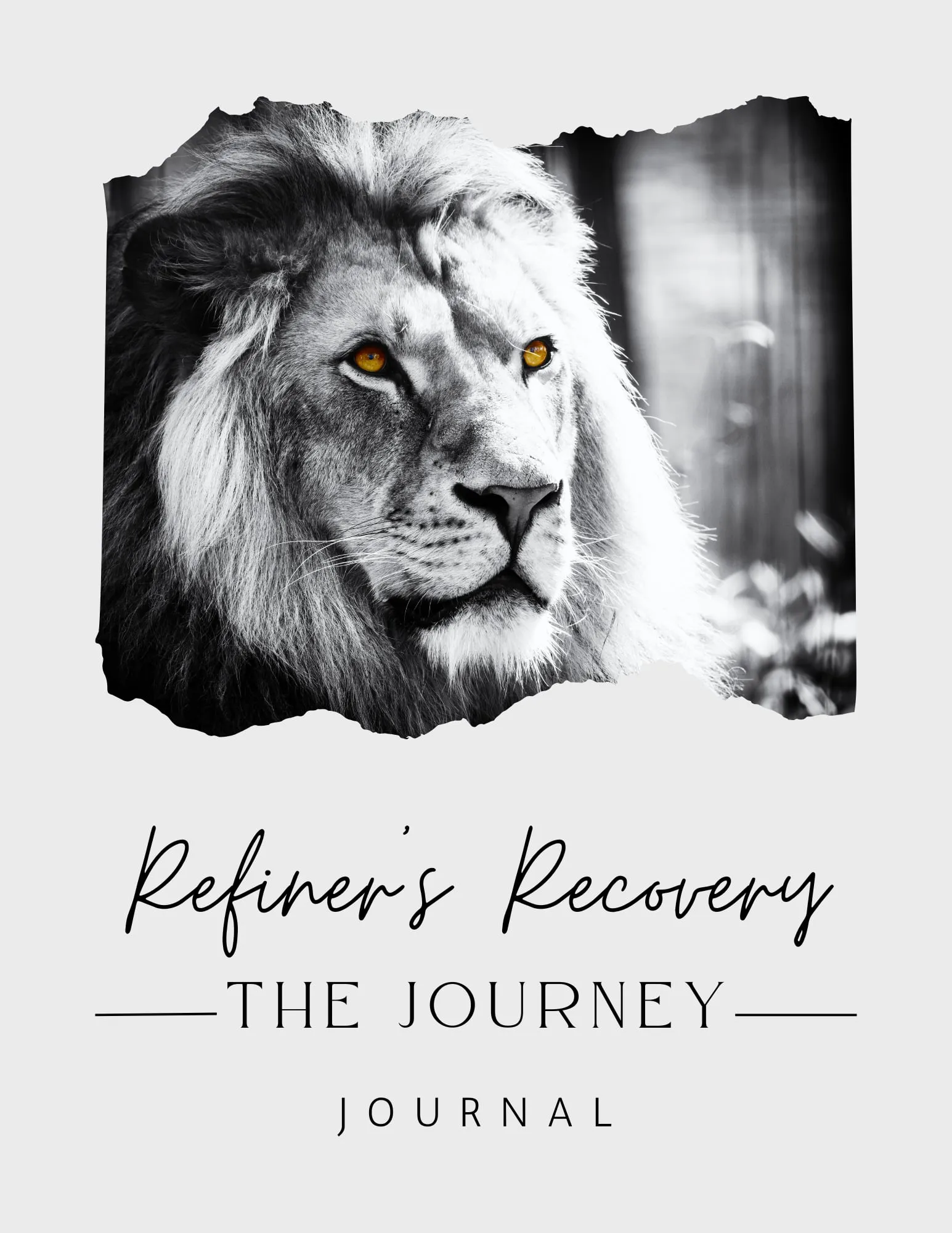 thy kingdom come book cover " Refiner's Recovery The Journey Journal"
